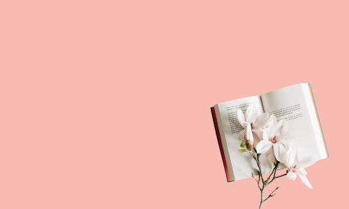 Best Book Collection For You